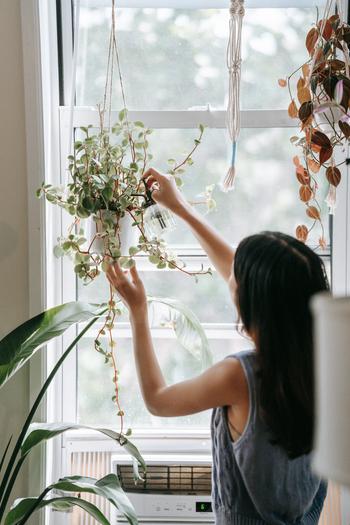 NOW 2023-Blog-Outside Inside-lady with plant.jpg