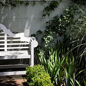 an upcycled garden bench surrounded by plants